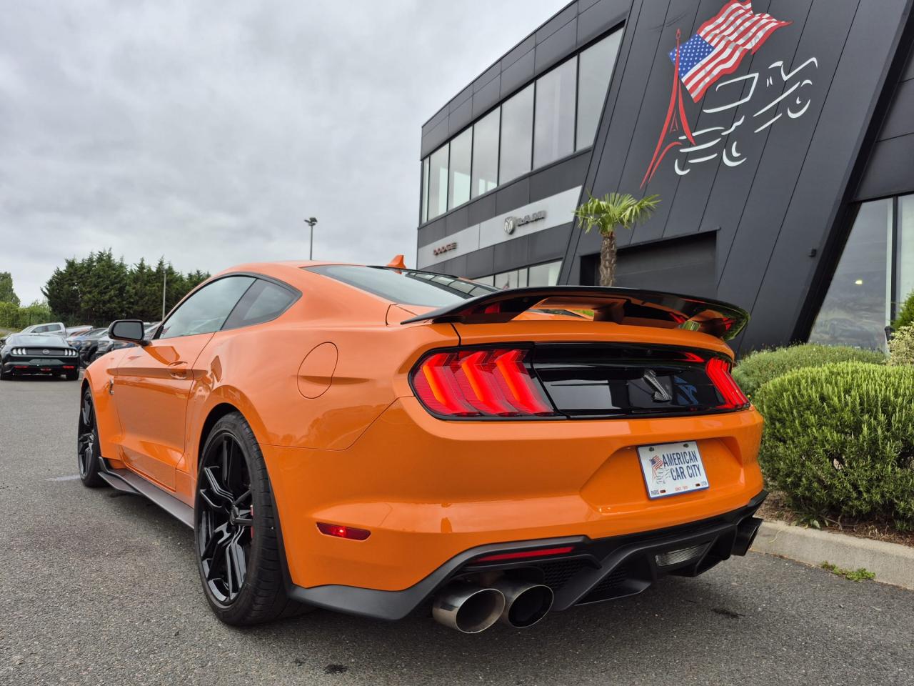 FORD MUSTANG Shelby GT500