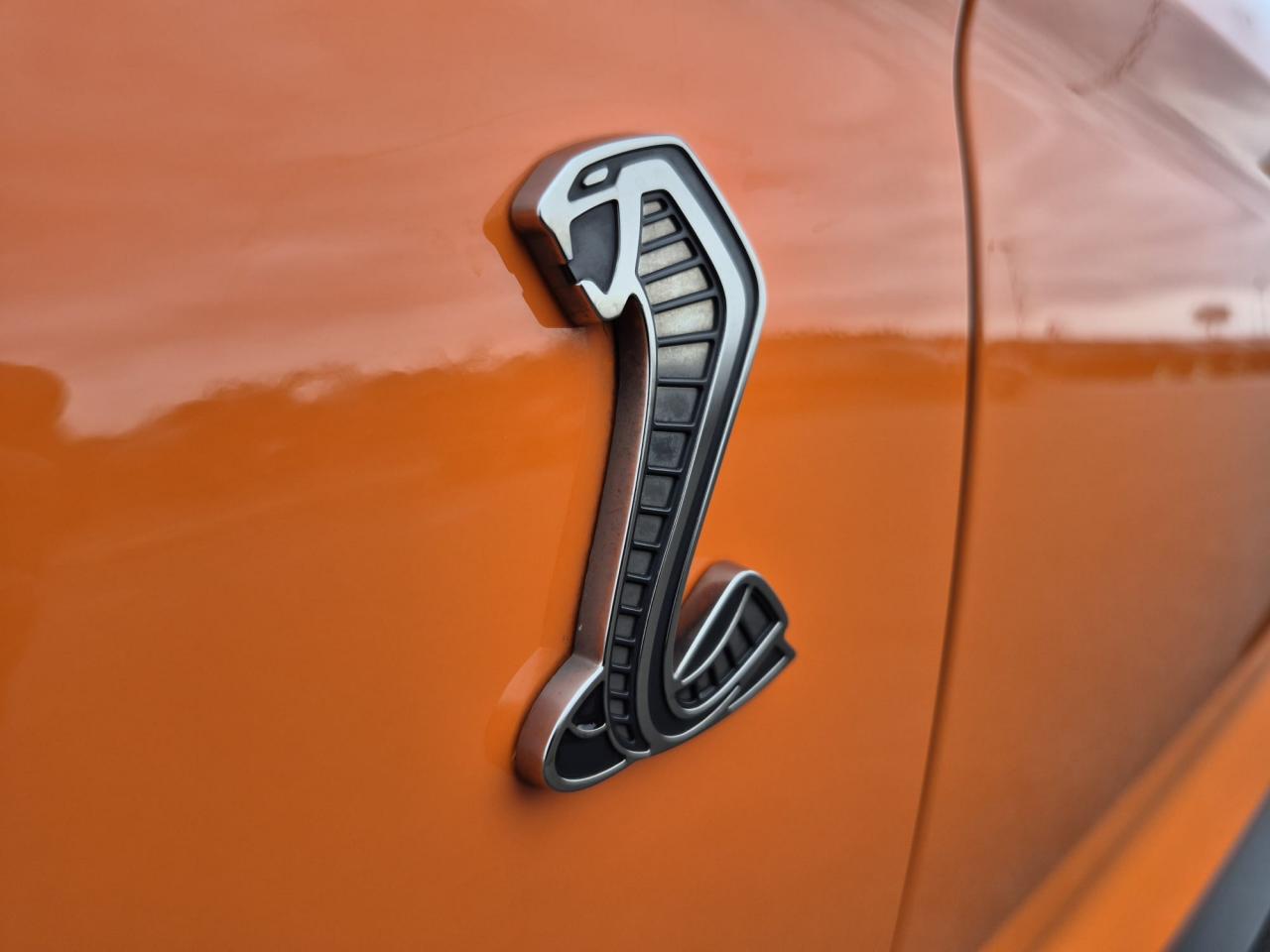 FORD MUSTANG Shelby GT500