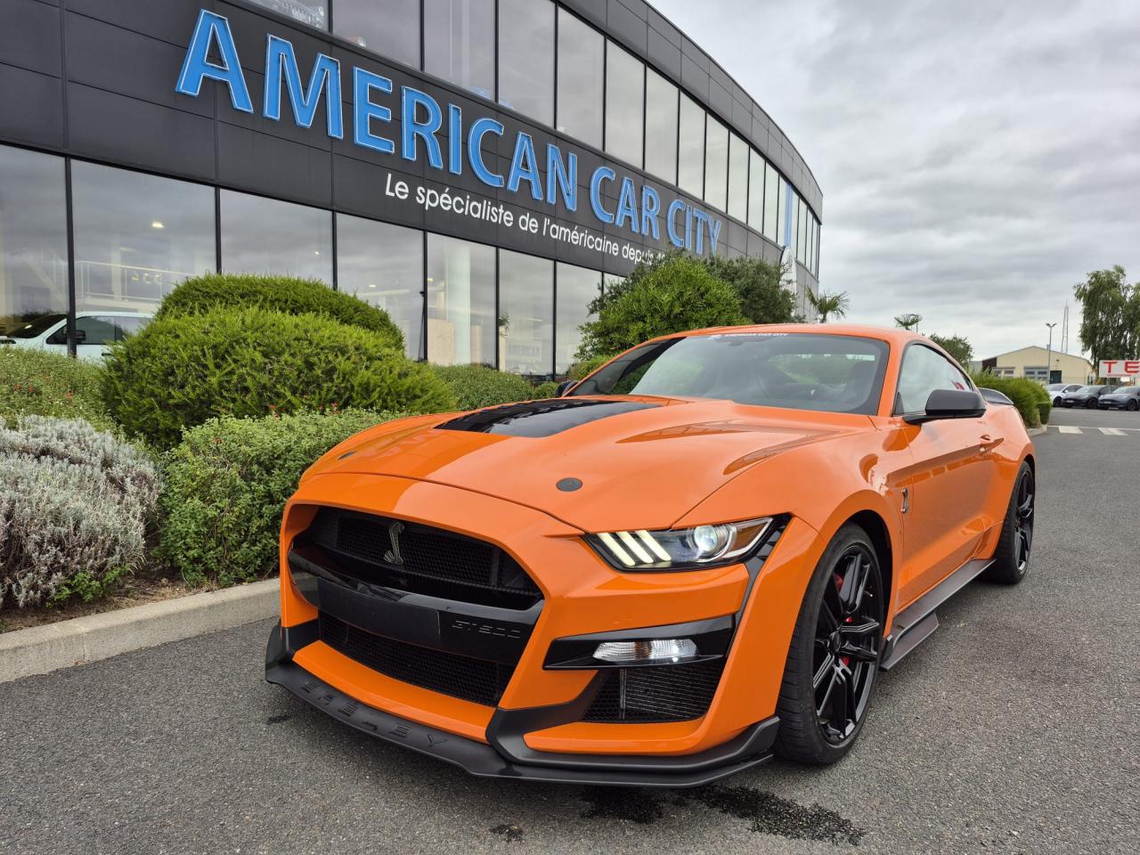 FORD MUSTANG Shelby GT500