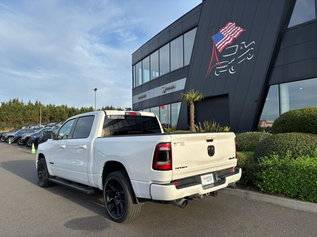 DODGE RAM 1500 CREW SPORT NIGHT EDITION HAYON MULTI