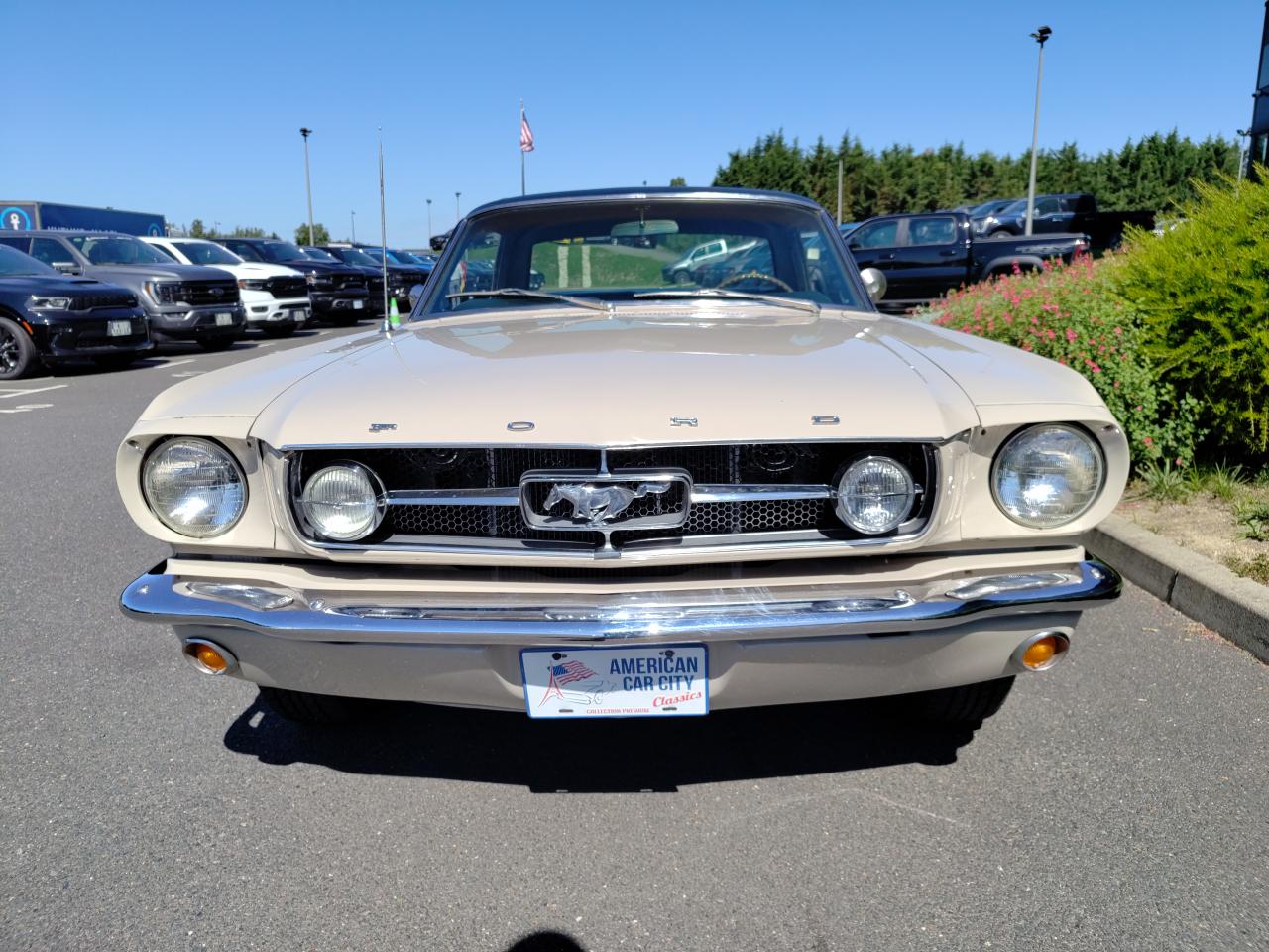FORD MUSTANG coupe 66 GT Pack LUXURY