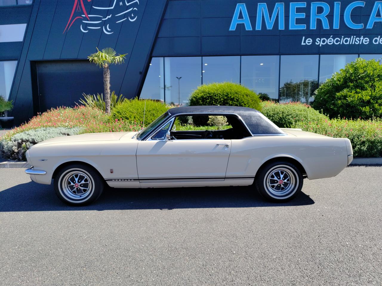 FORD MUSTANG coupe 66 GT Pack LUXURY