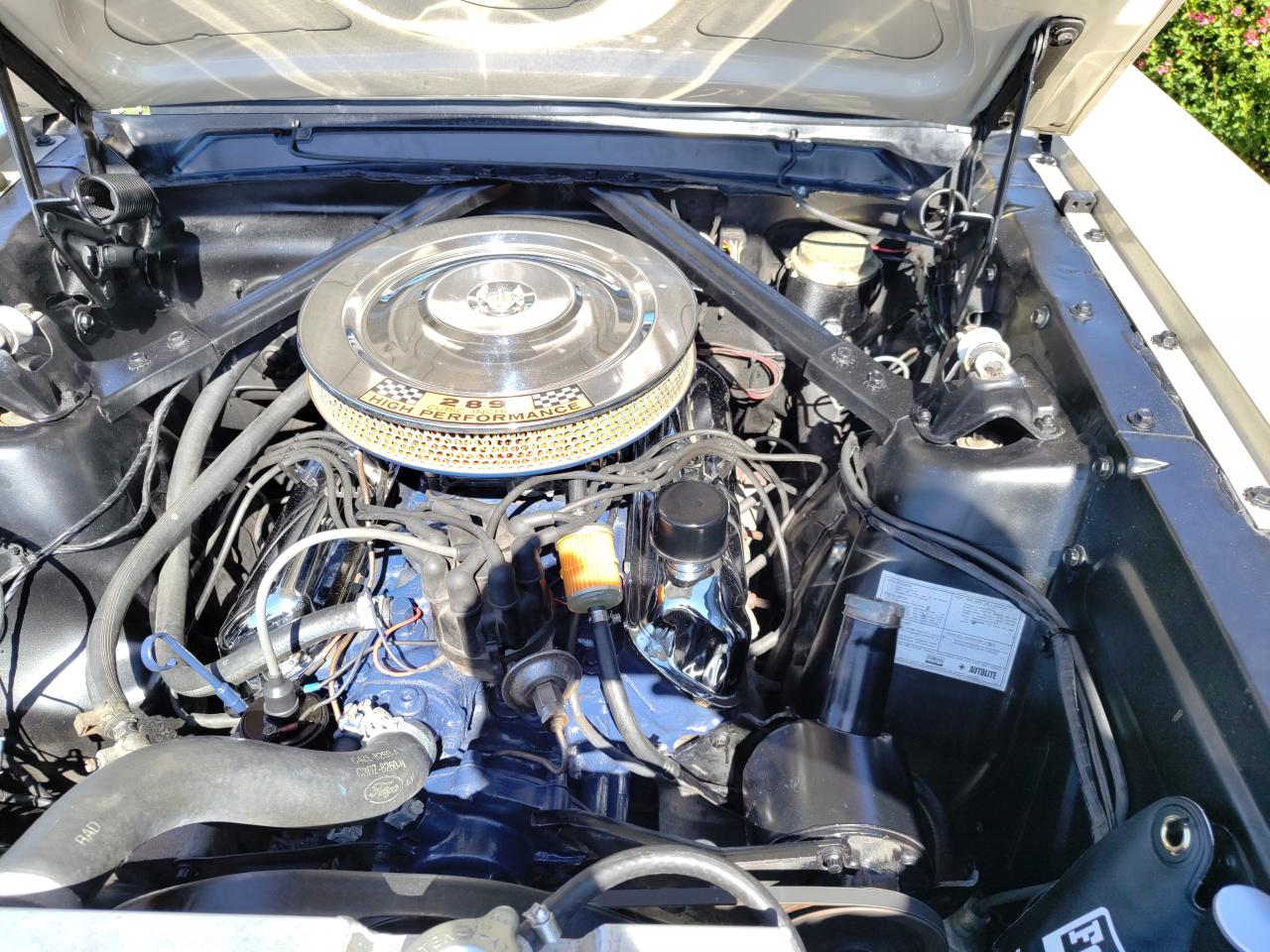 FORD MUSTANG coupe 66 GT Pack LUXURY