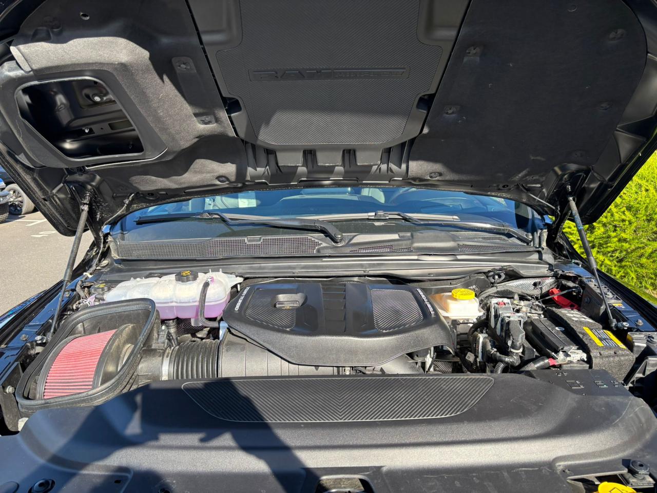 DODGE RAM 1500 CREW RHO