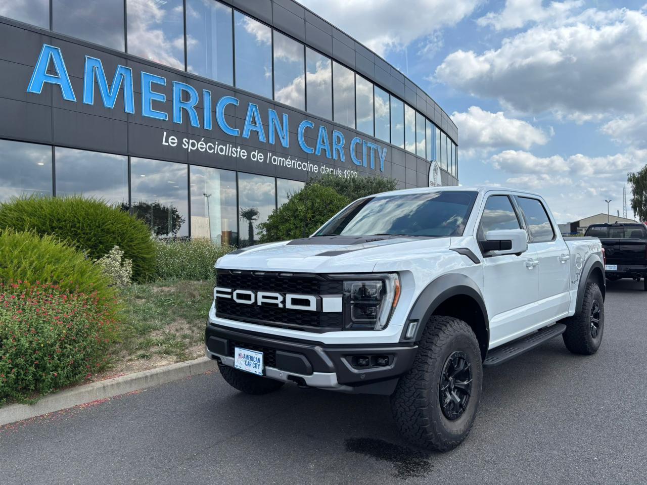 FORD F150 RAPTOR 37 PACKAGE