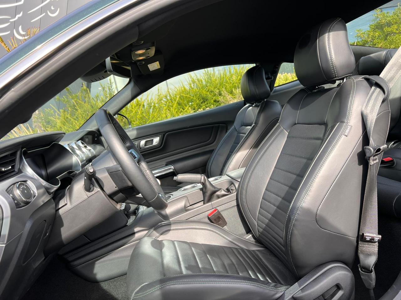 FORD MUSTANG BULLITT V8 5.0L - MAGNERIDE