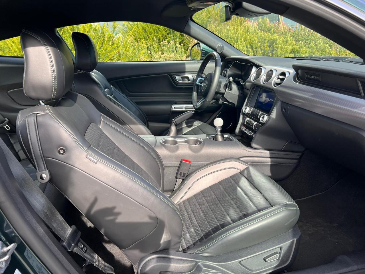 FORD MUSTANG BULLITT V8 5.0L - MAGNERIDE