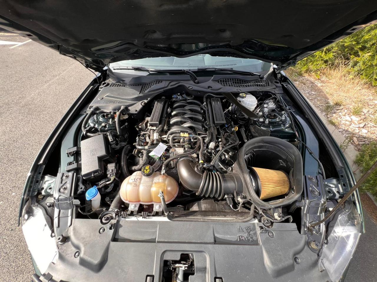 FORD MUSTANG BULLITT V8 5.0L - MAGNERIDE
