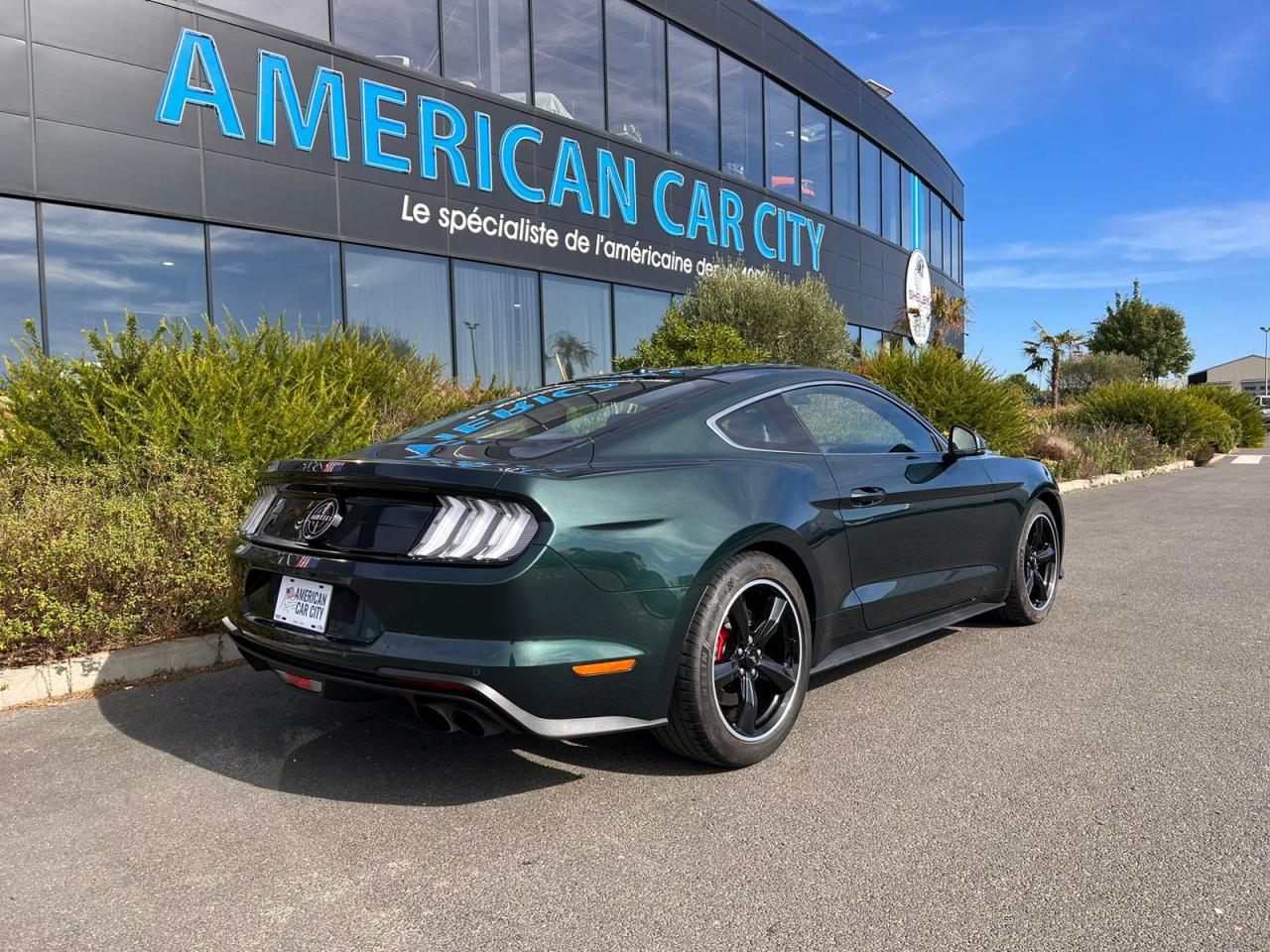 FORD MUSTANG BULLITT V8 5.0L - MAGNERIDE