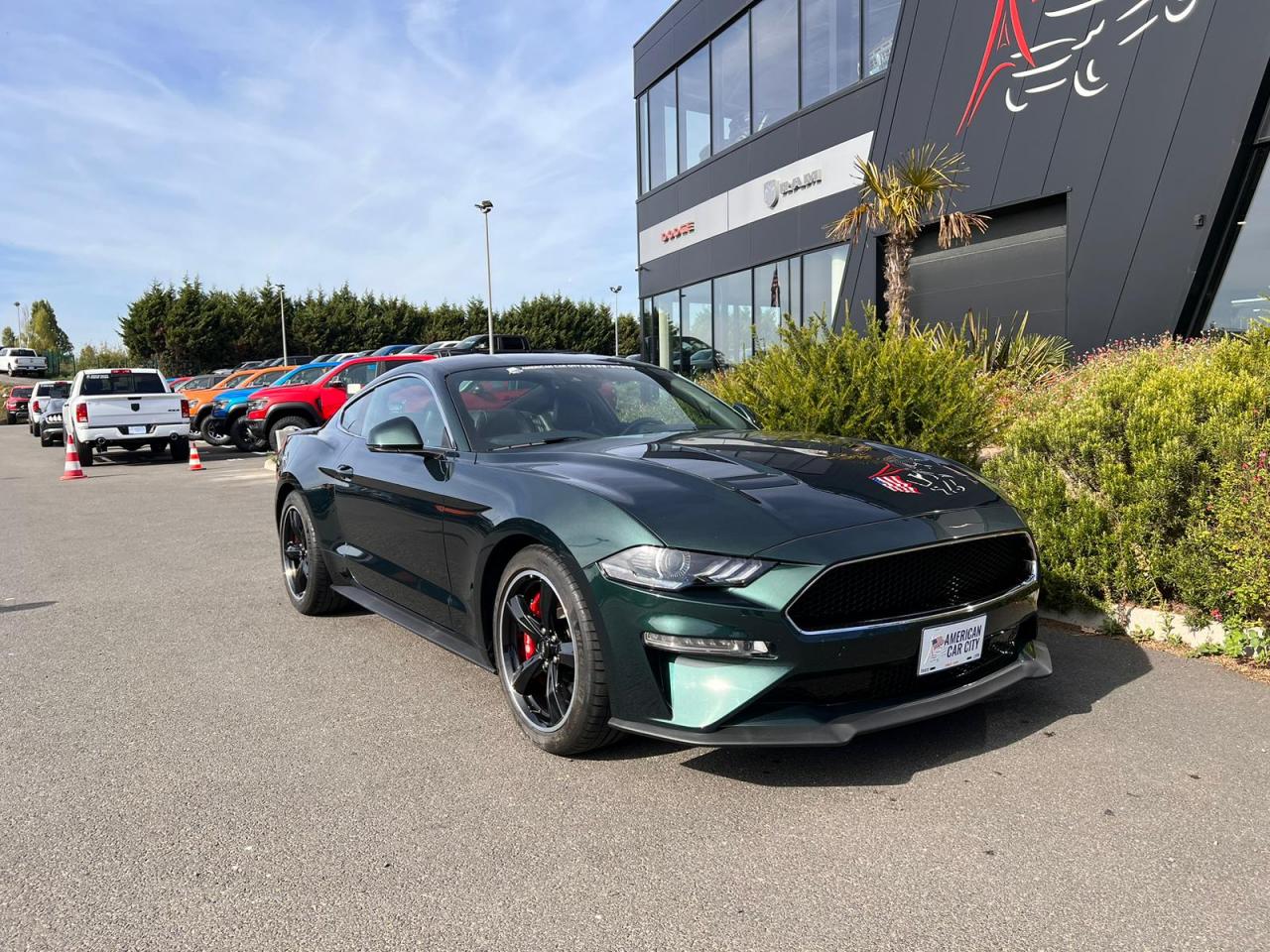 FORD MUSTANG BULLITT V8 5.0L - MAGNERIDE
