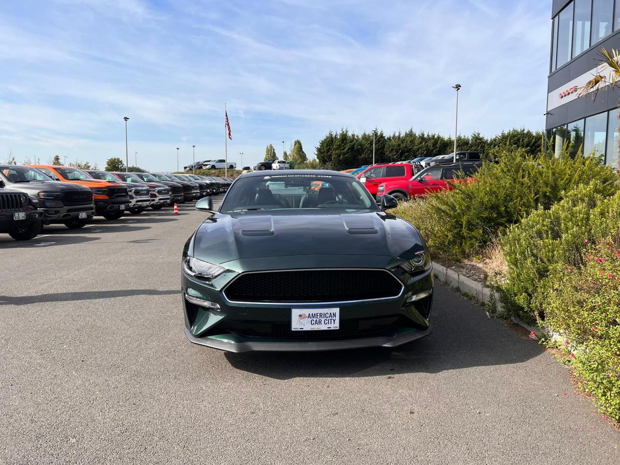 FORD MUSTANG BULLITT V8 5.0L - MAGNERIDE
