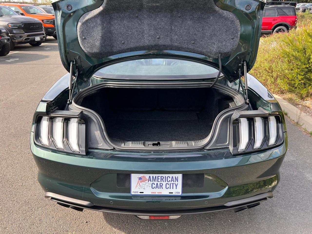 FORD MUSTANG BULLITT V8 5.0L - MAGNERIDE