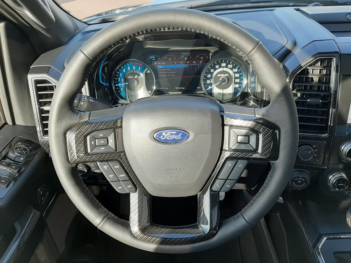 FORD F150 SHELBY OFFROAD V8 5.0L