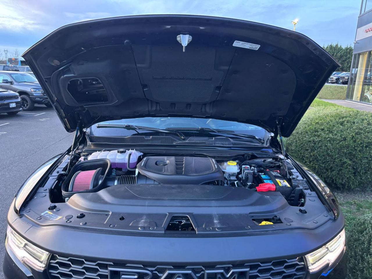 DODGE RAM 1500 CREW RHO