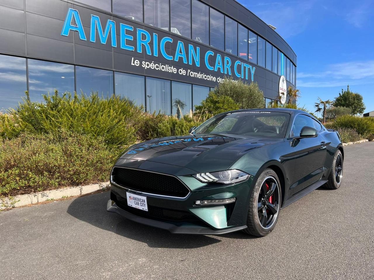 FORD MUSTANG BULLITT V8 5.0L - MAGNERIDE