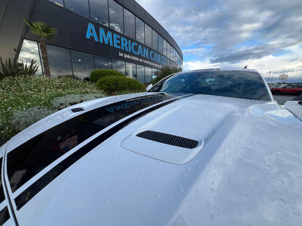 FORD MUSTANG Fastback GT 5.0L V8