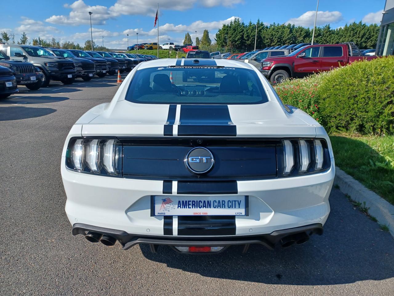 FORD MUSTANG Fastback GT 5.0L V8
