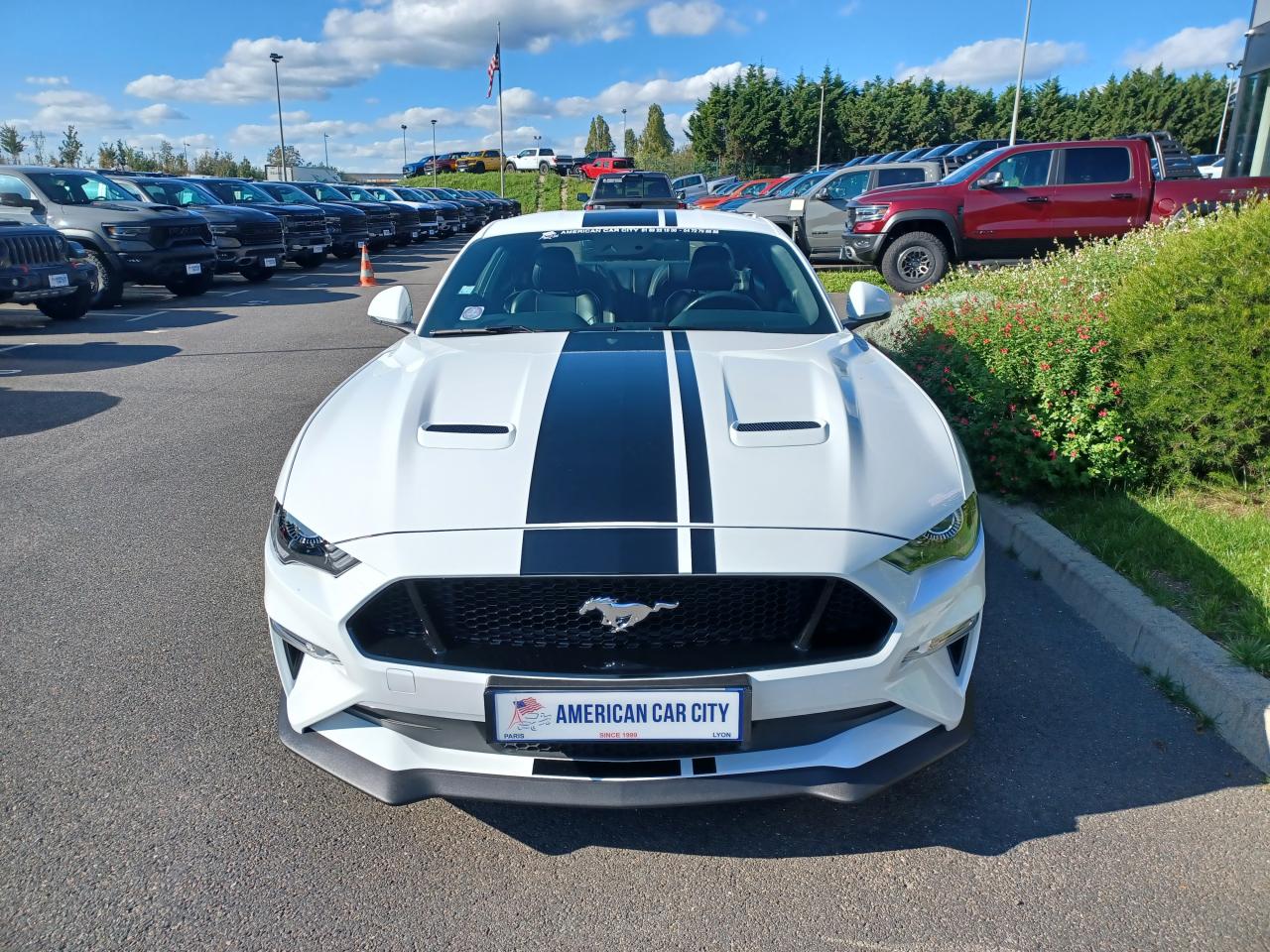 FORD MUSTANG Fastback GT 5.0L V8