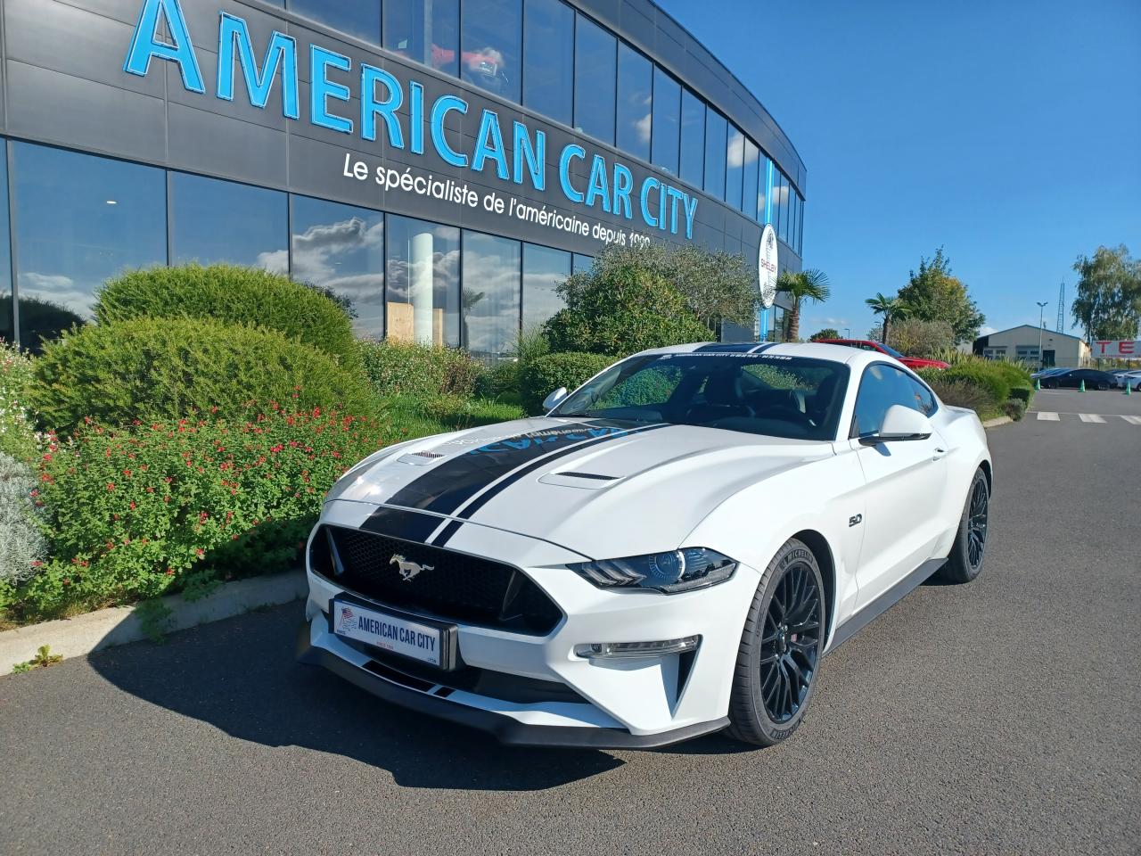 FORD MUSTANG Fastback GT 5.0L V8