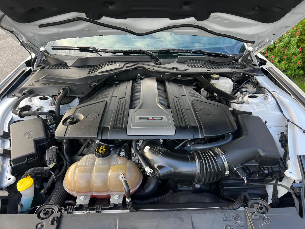 FORD MUSTANG Fastback GT 5.0L V8