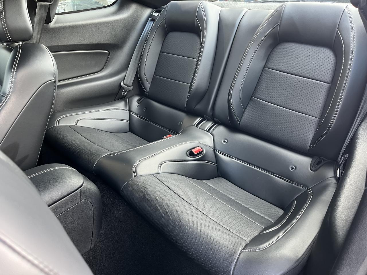 FORD MUSTANG GT FASTBACK 5.0L V8 450 - MALUS PAYE