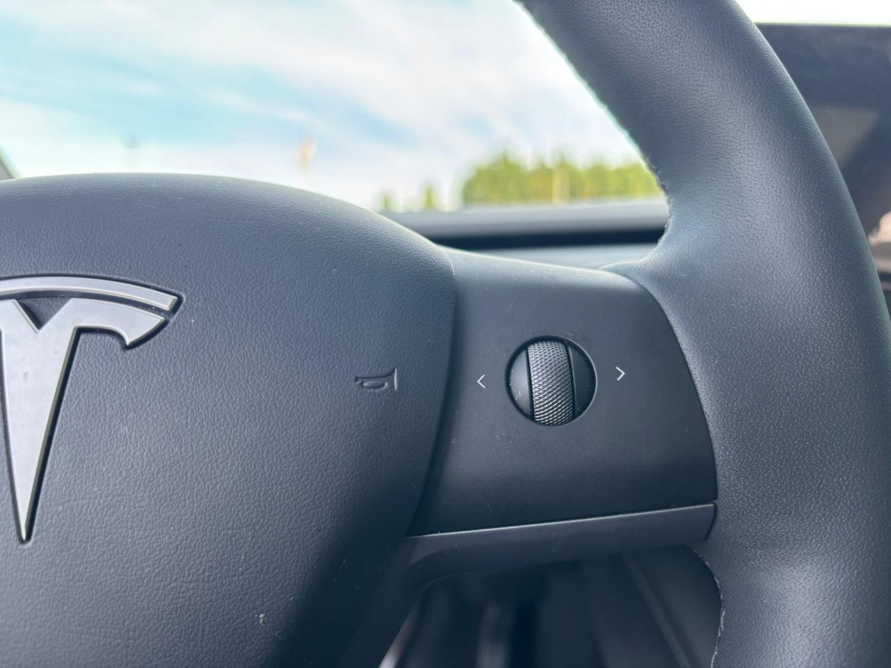 TESLA MODEL Y Performance AWD