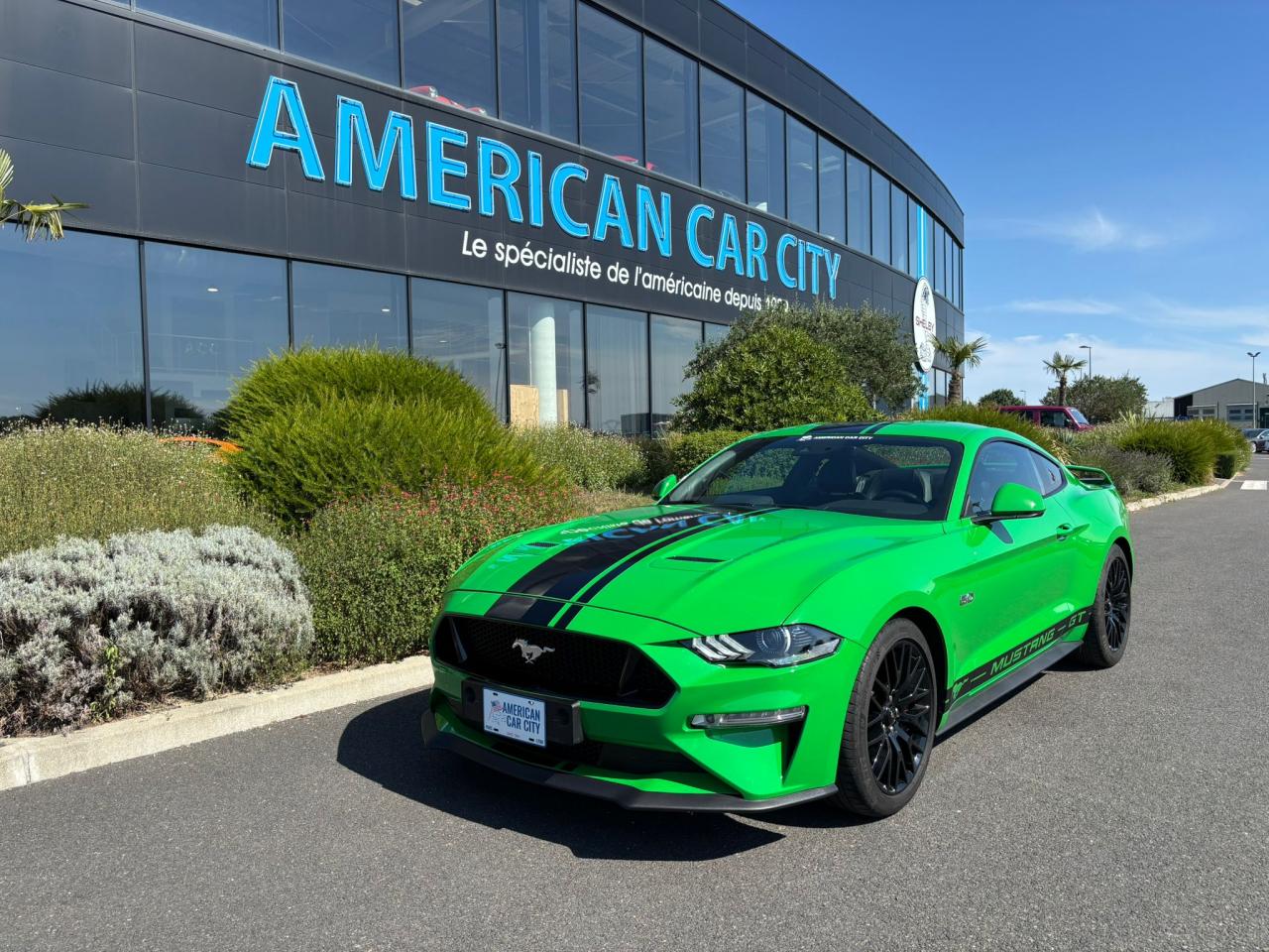 FORD MUSTANG GT FASTBACK 5.0L V8 BVM