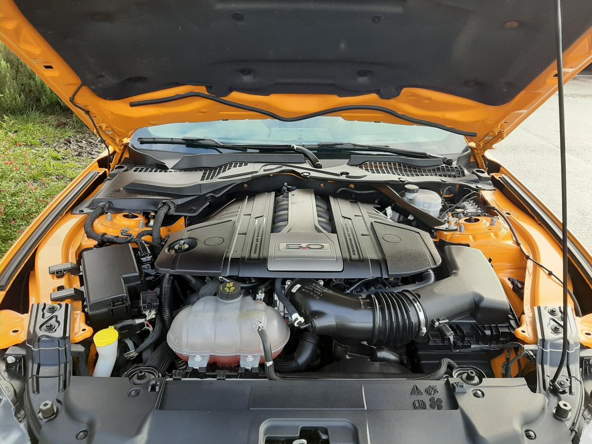 FORD MUSTANG GT FASTBACK V8 5.0L MAGNERIDE