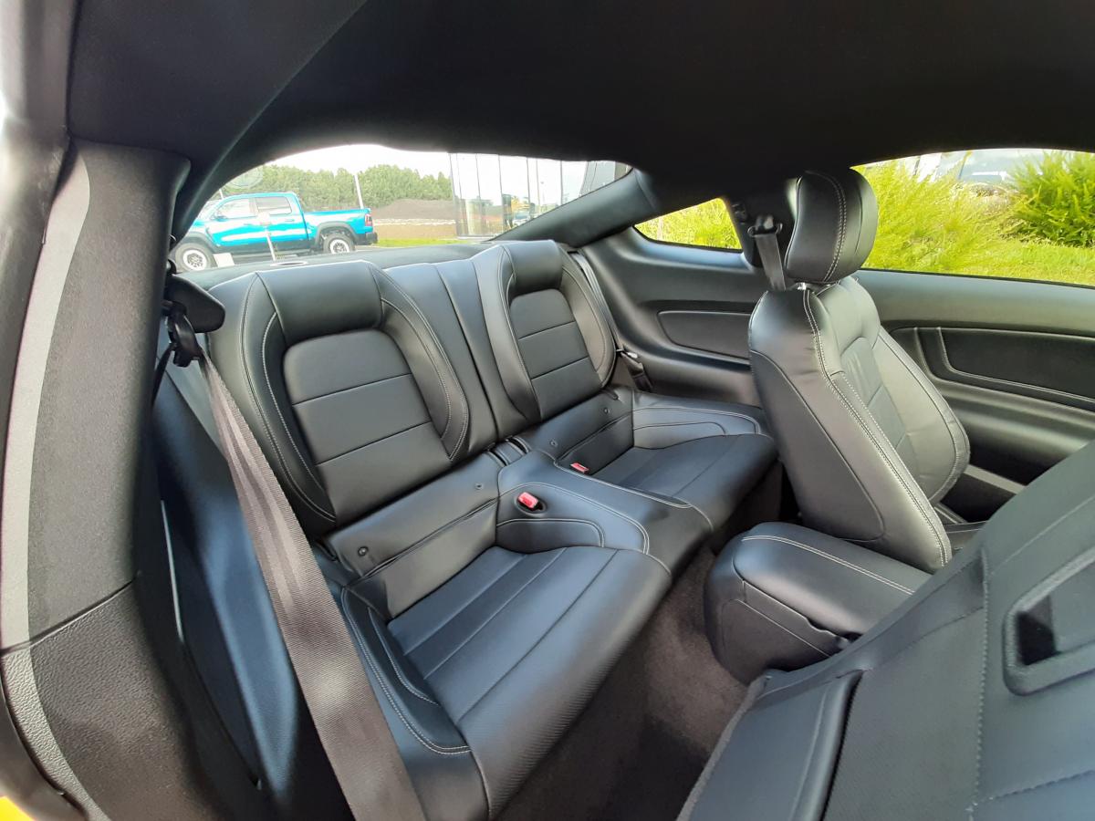 FORD MUSTANG GT FASTBACK V8 5.0L MAGNERIDE