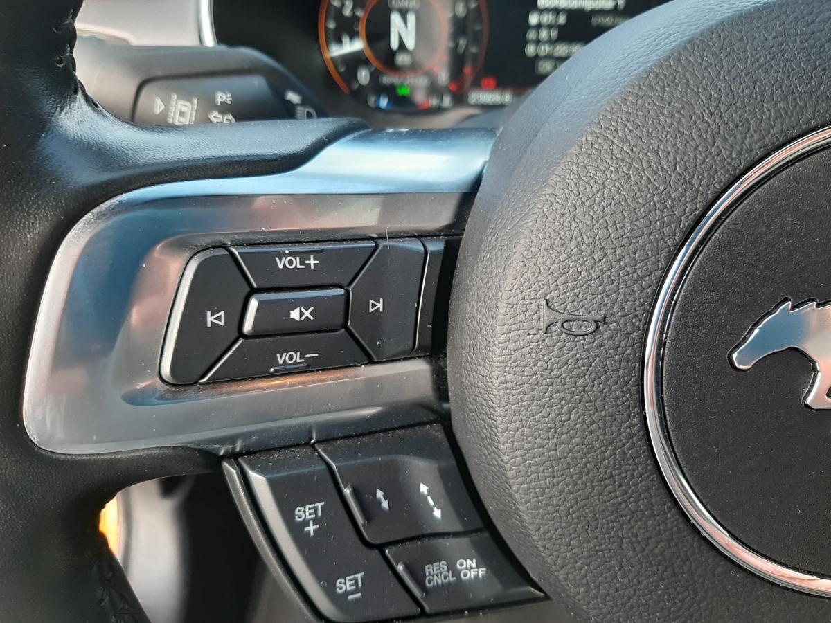 FORD MUSTANG GT FASTBACK V8 5.0L MAGNERIDE