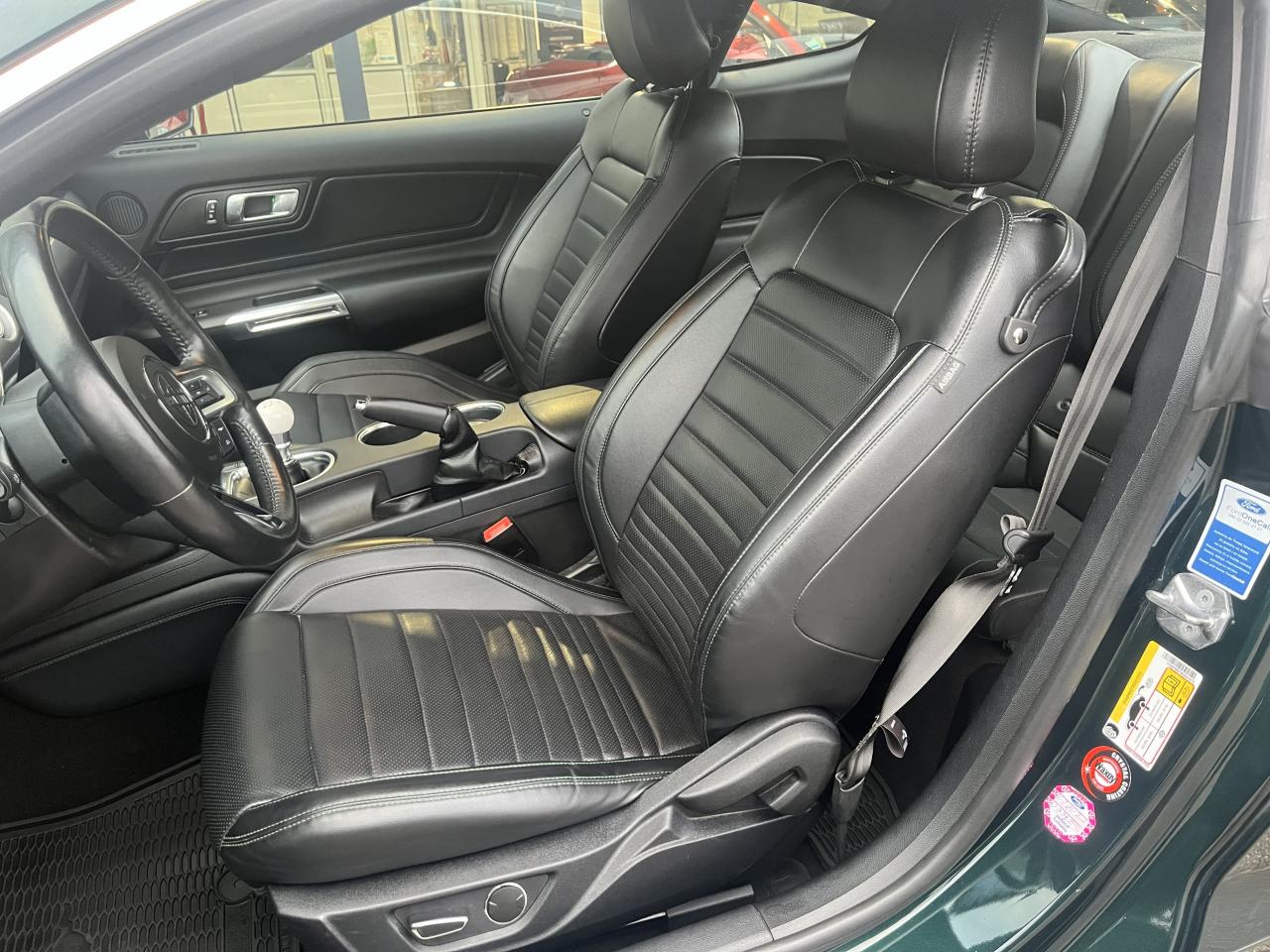 FORD MUSTANG Bullitt V8 5.0L 460hp MAGNERIDE - Pas de malus