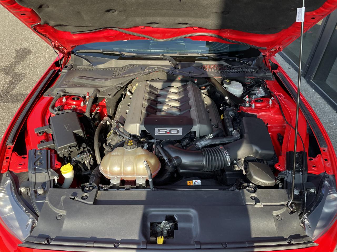 FORD MUSTANG GT FASTBACK PREMIUM V8 5.0L BVA
