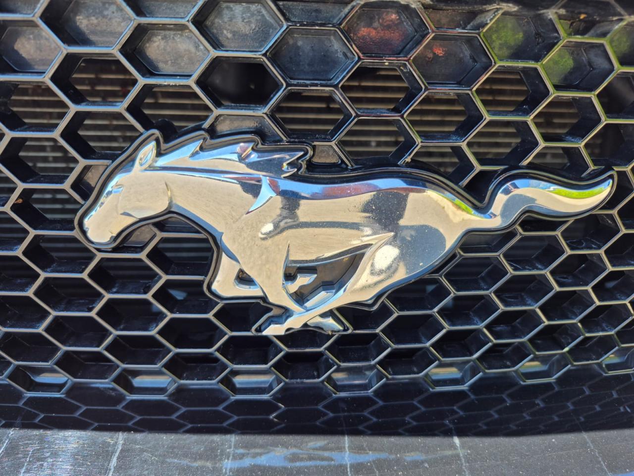 FORD MUSTANG GT FASTBACK 5.0L V8 450ch BVA10