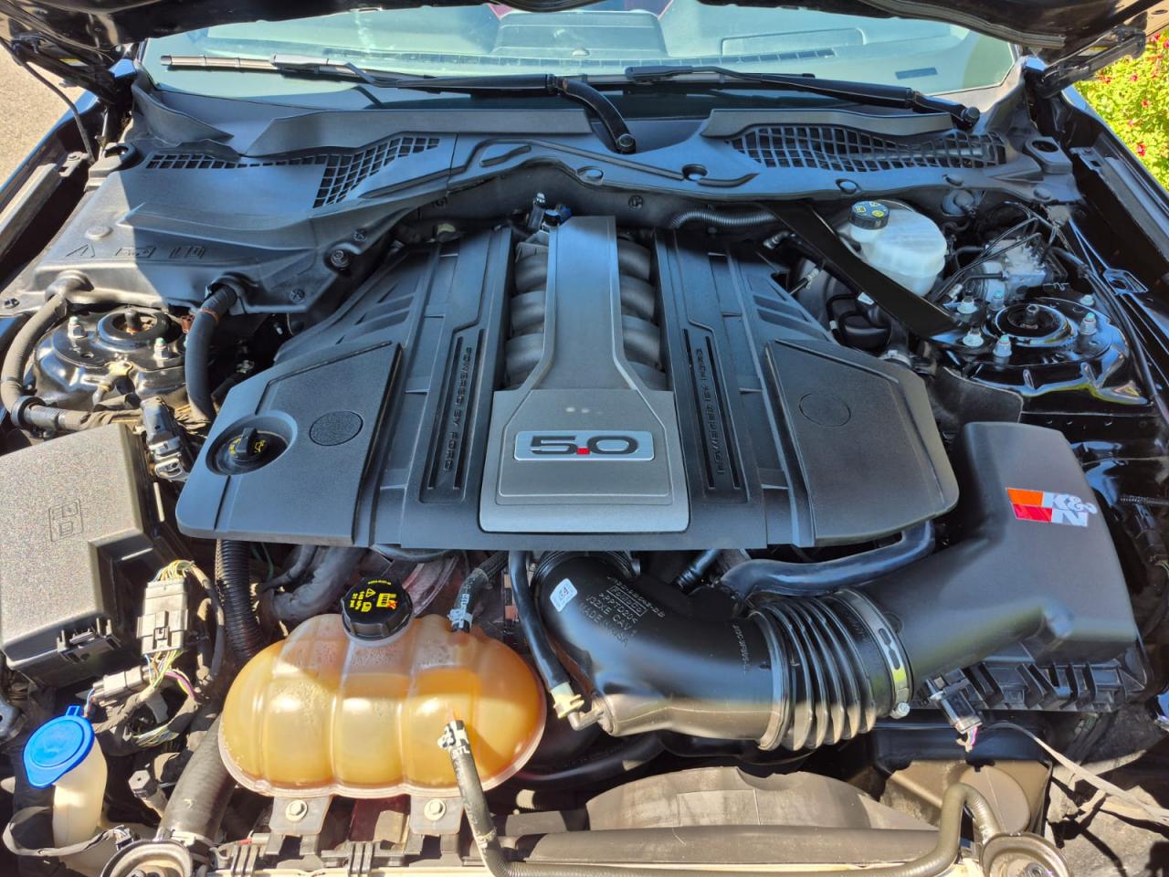 FORD MUSTANG GT FASTBACK 5.0L V8 450ch BVA10