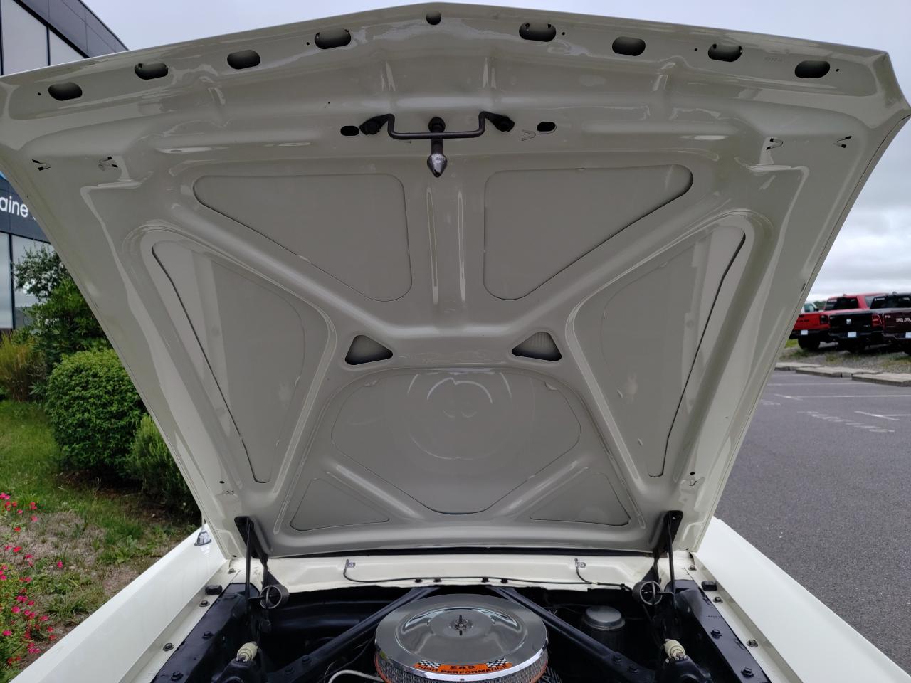 FORD MUSTANG V8 4.7 Litres, boite méca 4