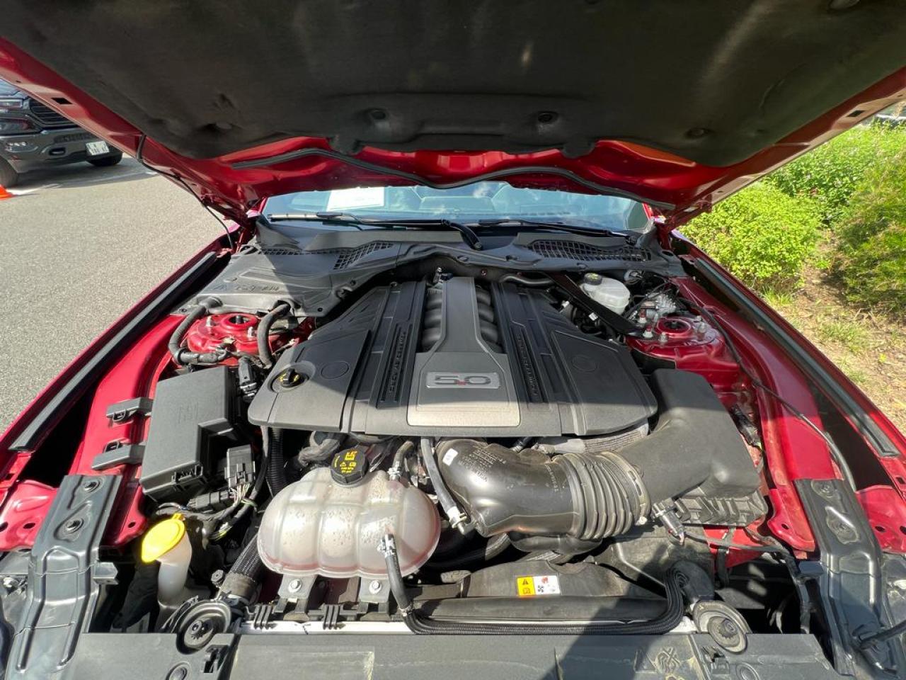 FORD MUSTANG GT V8 5.0L BVM - MALUS PAYE