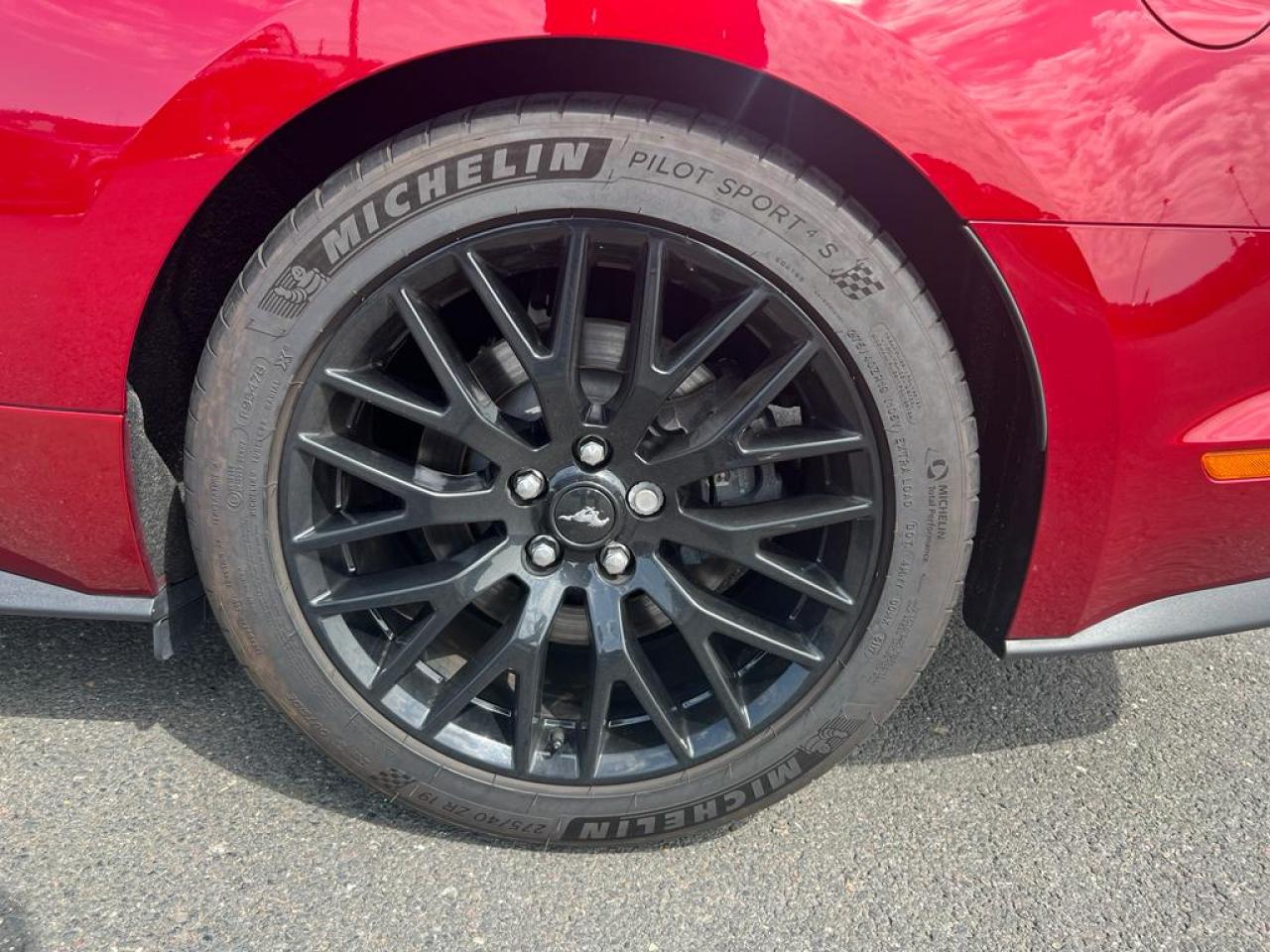 FORD MUSTANG GT V8 5.0L BVM - MALUS PAYE