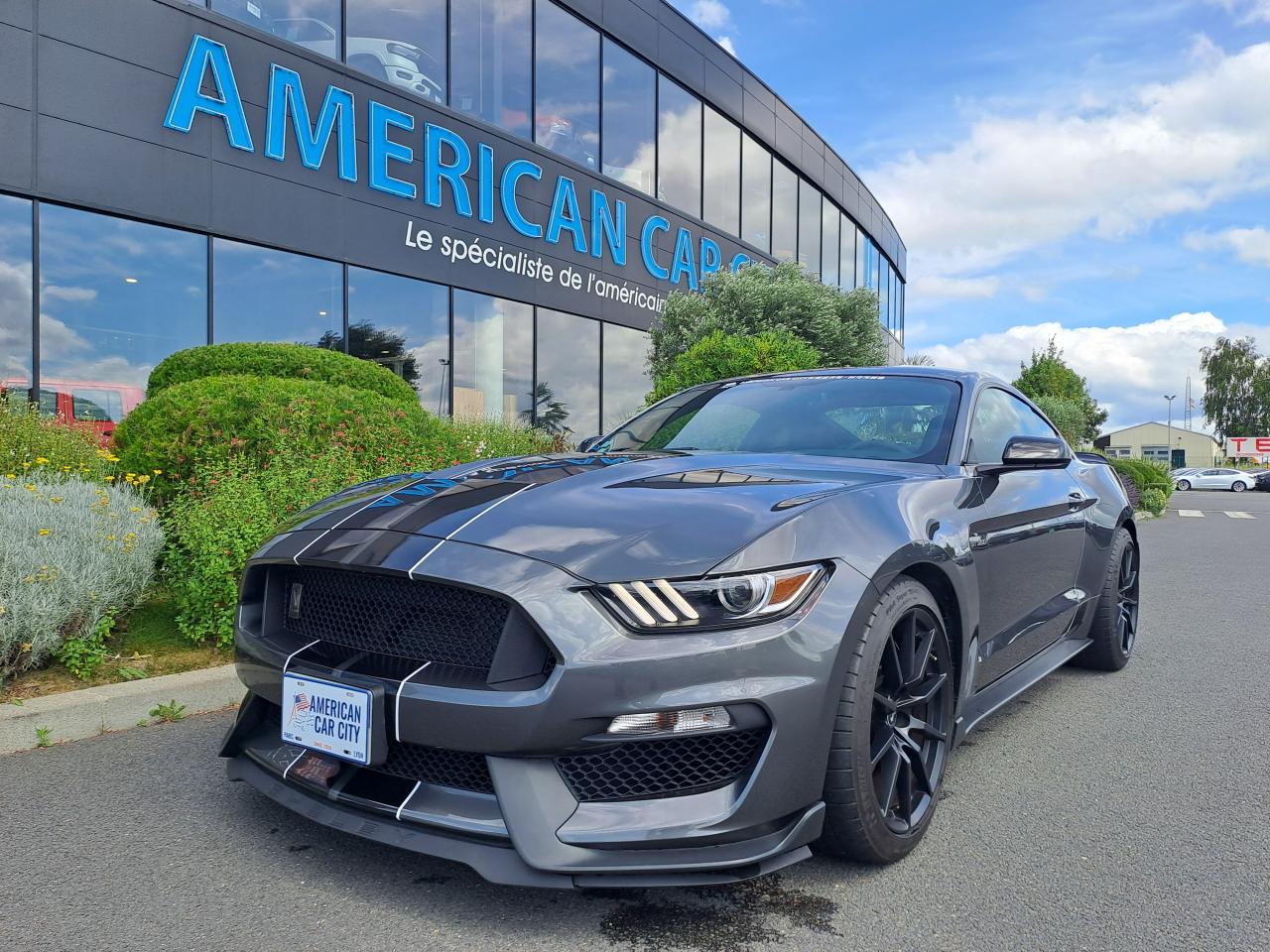 FORD MUSTANG Shelby GT350 V8 5.2L