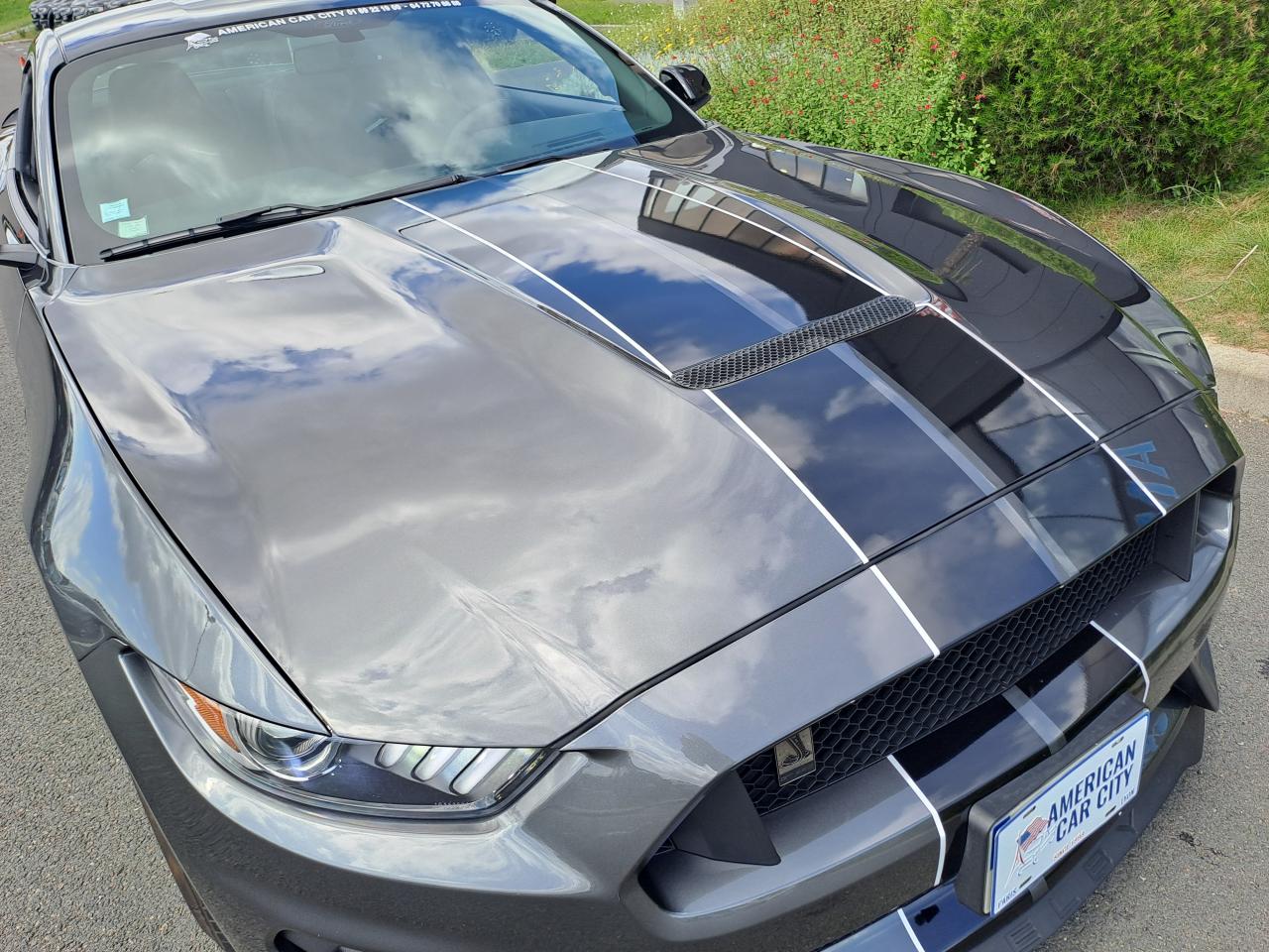 FORD MUSTANG Shelby GT350 V8 5.2L
