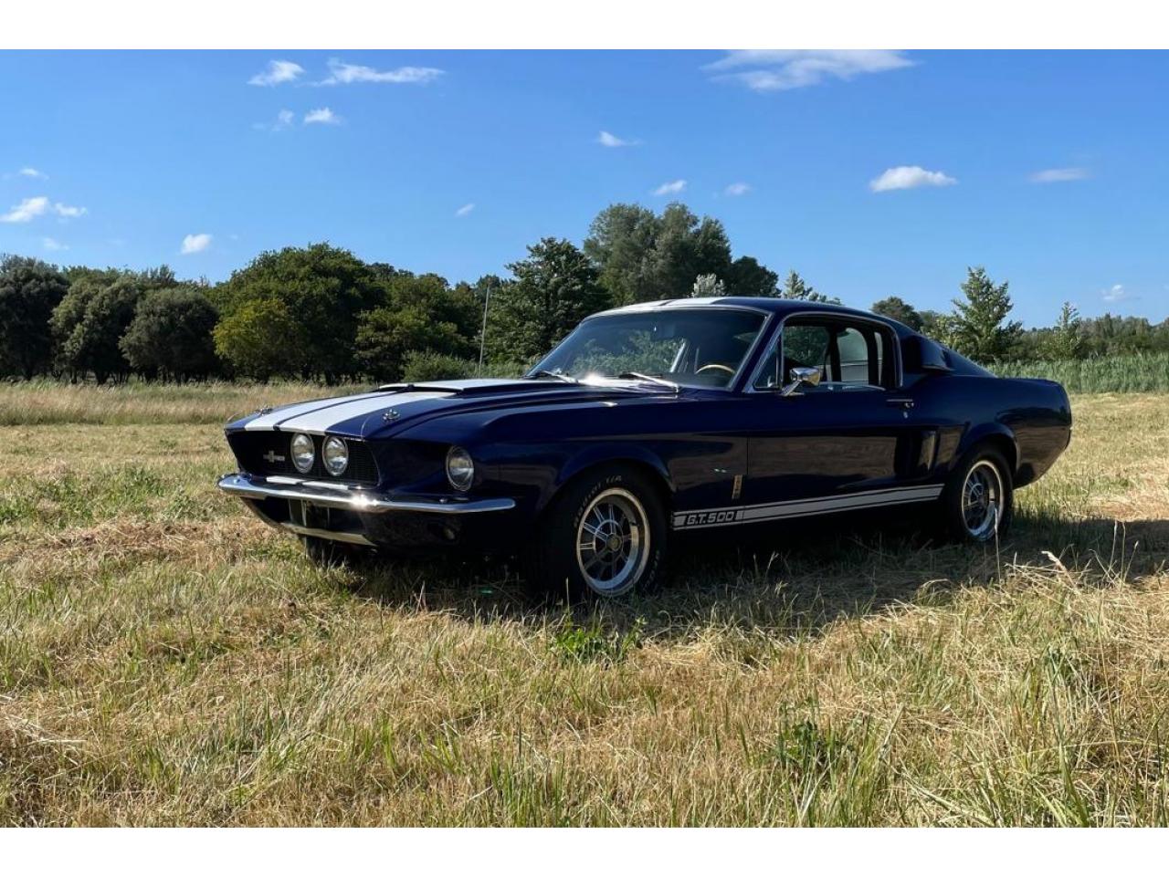 FORD MUSTANG SHELBY GT500 authentique