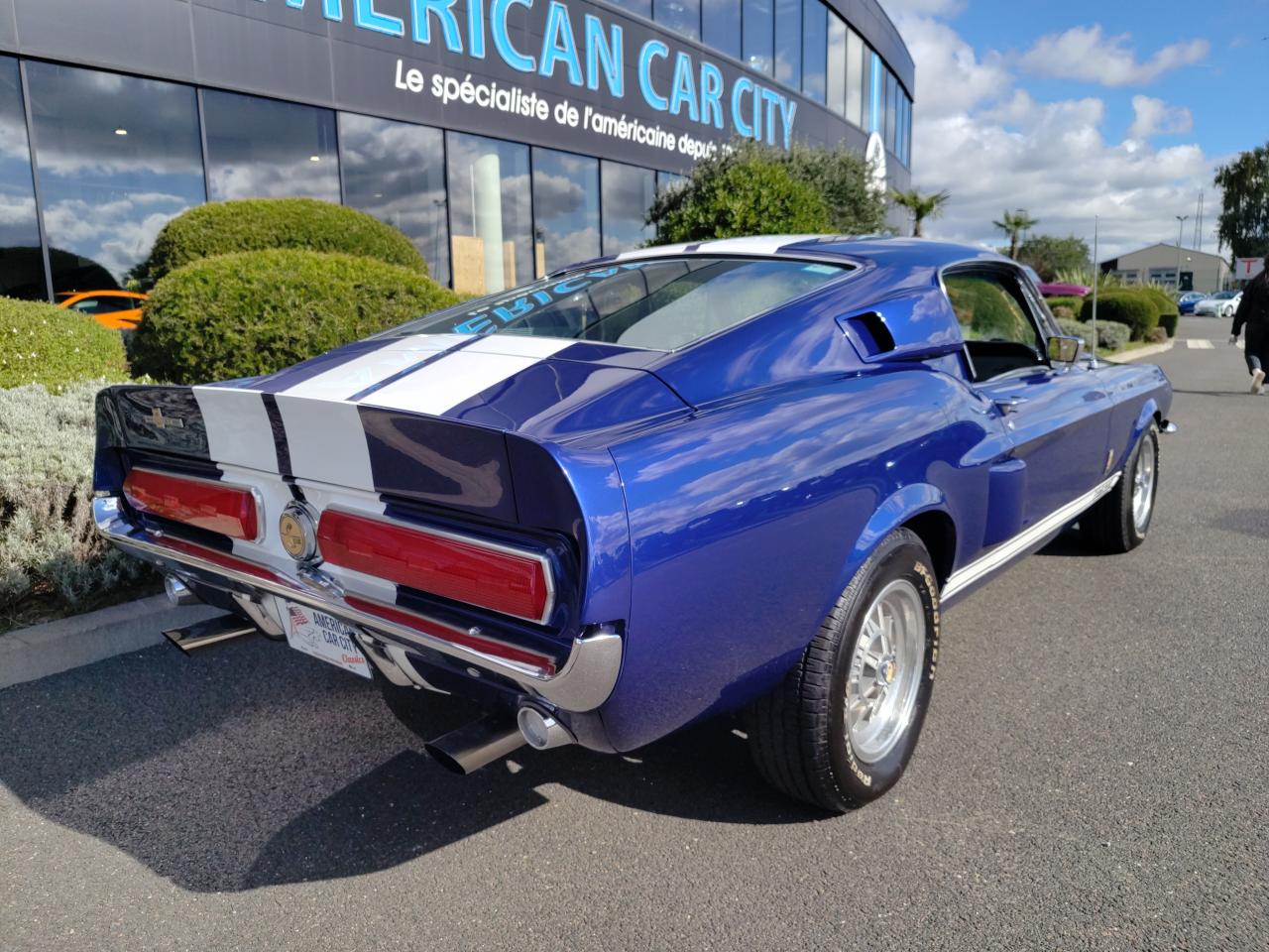 FORD MUSTANG SHELBY GT500 authentique