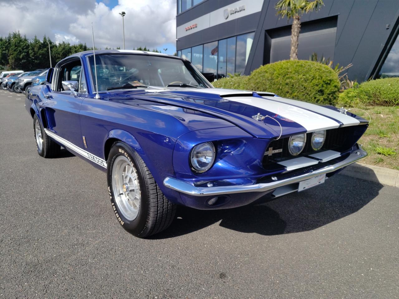 FORD MUSTANG SHELBY GT500 authentique