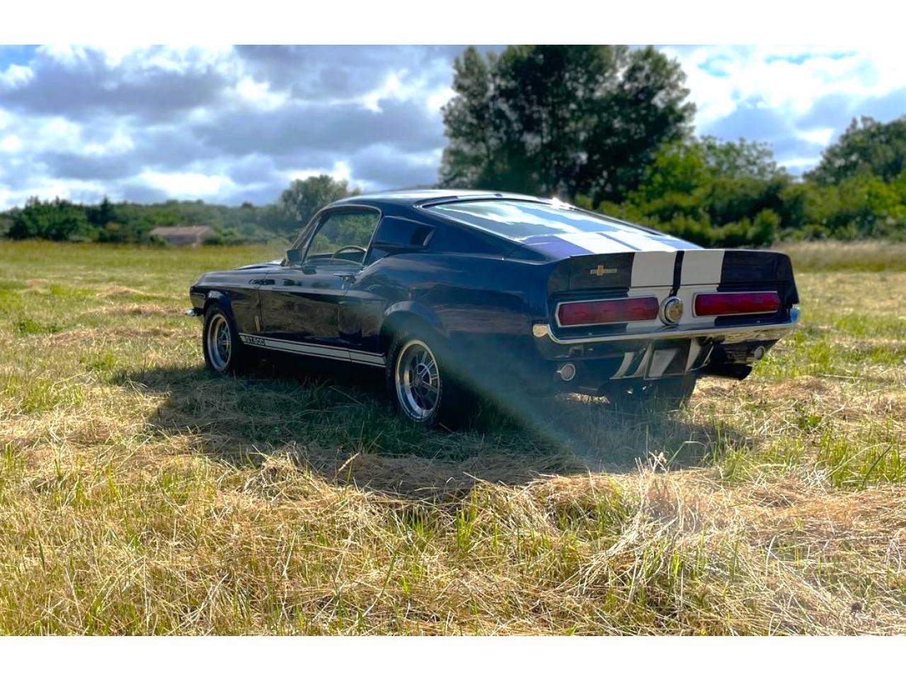 FORD MUSTANG SHELBY GT500 authentique