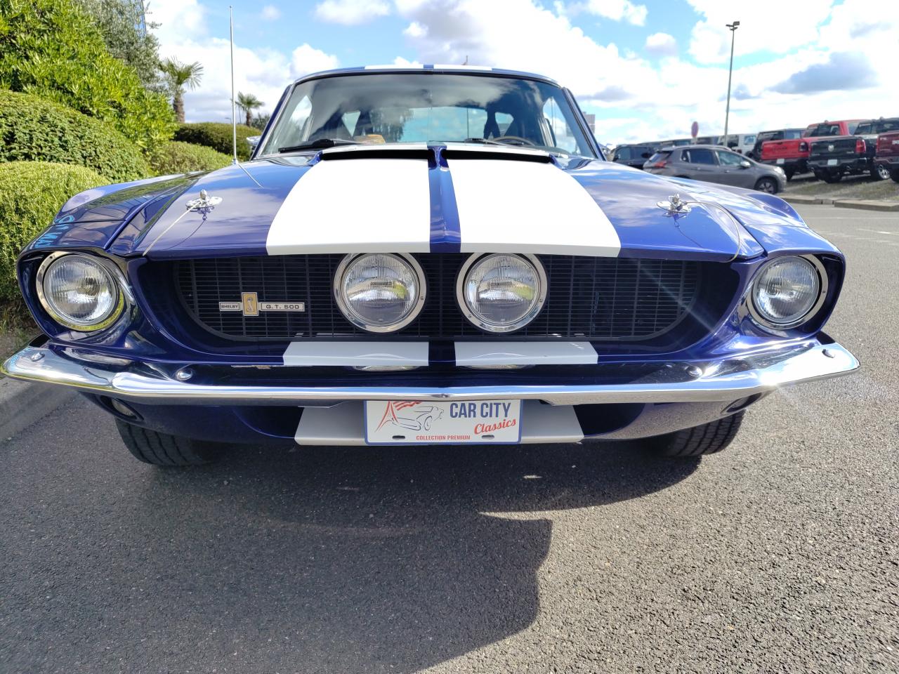 FORD MUSTANG SHELBY GT500 authentique