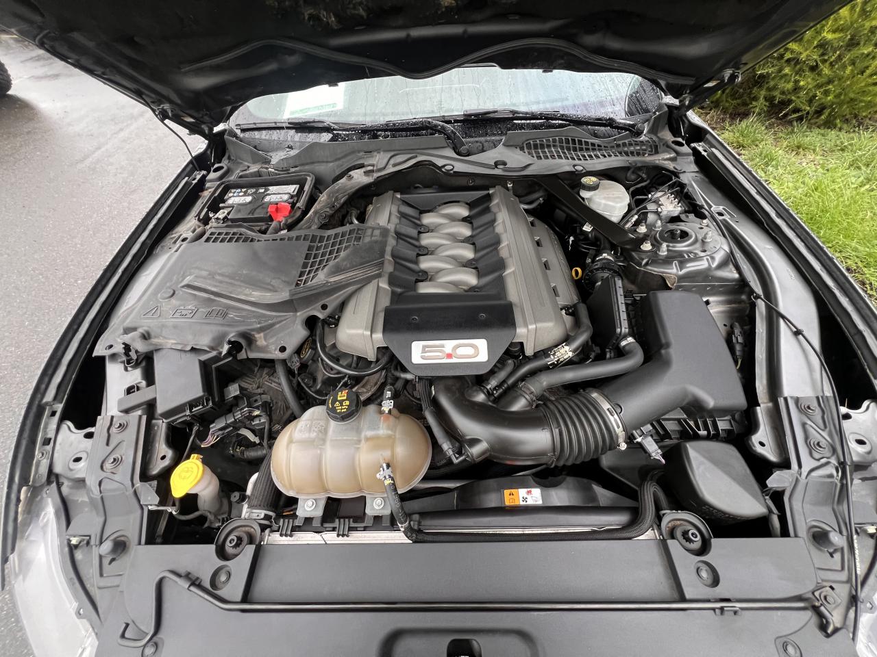 FORD MUSTANG GT FASTBACK V8 5.0L