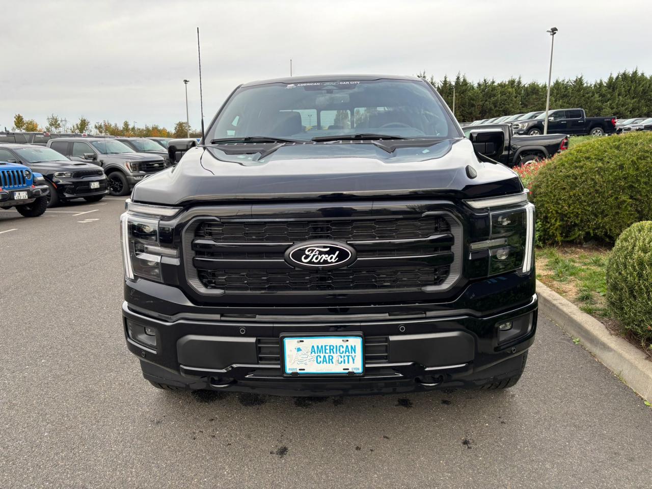 FORD F150 Supercrew LARIAT Black Package V8 5.0L