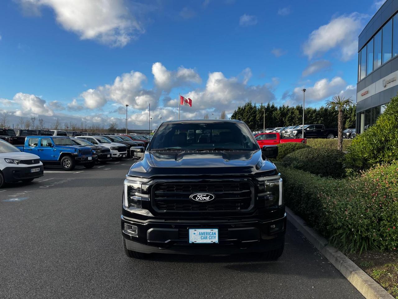 FORD F150 Supercrew LARIAT Black Package V8 5.0L