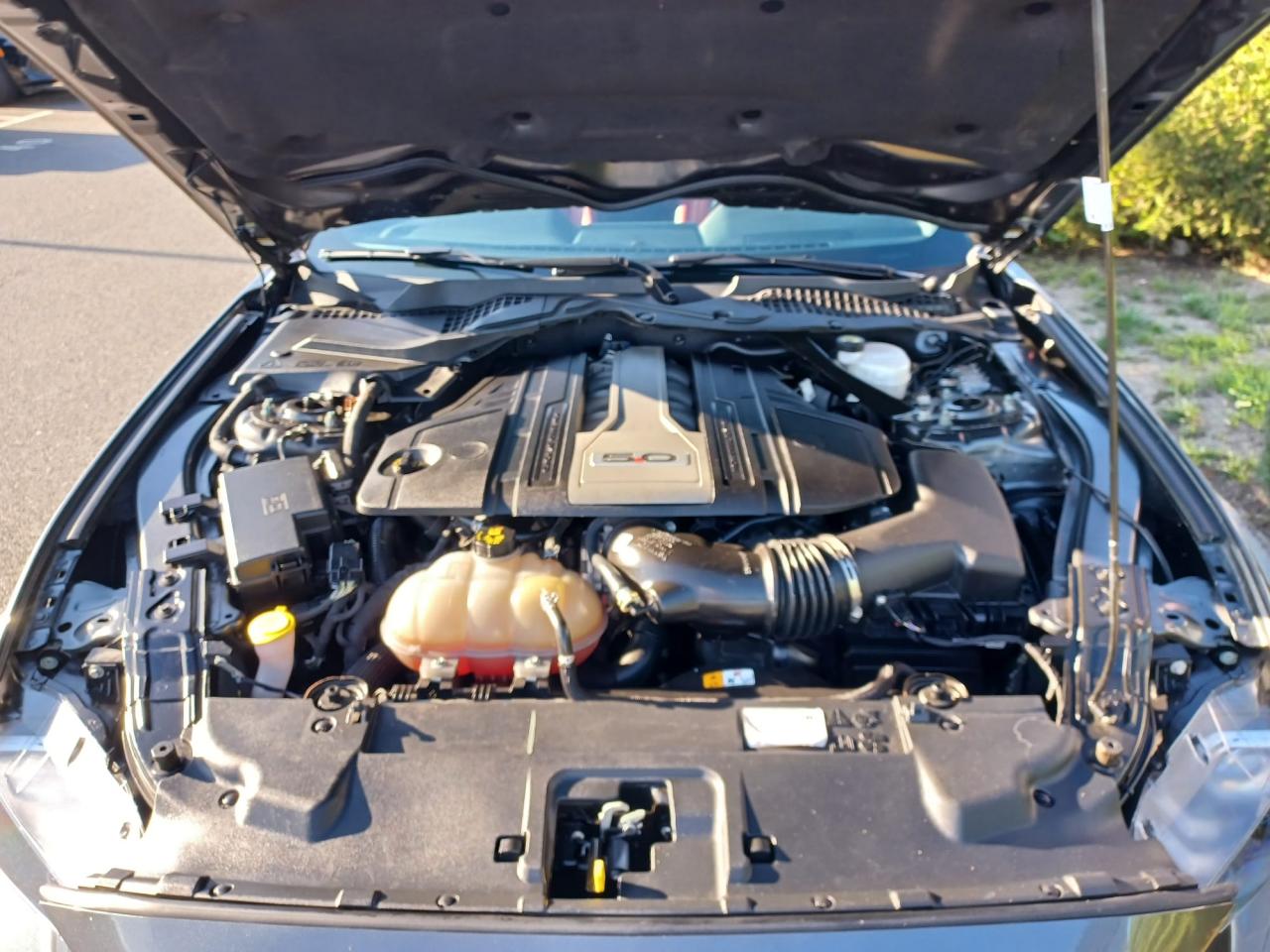 FORD MUSTANG GT CABRIOLET V8 5.0L - PAS DE MALUS