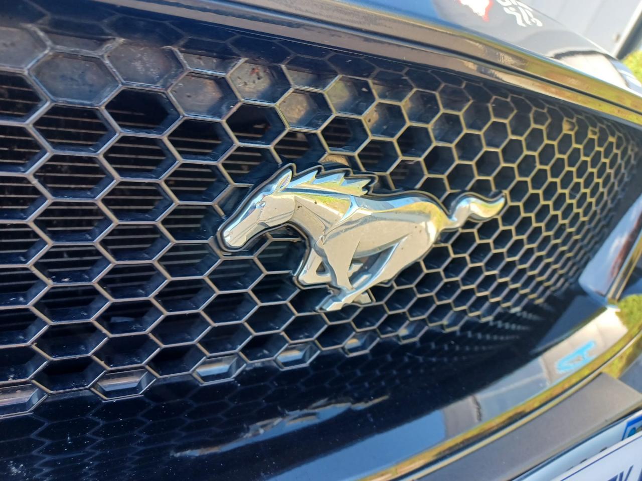 FORD MUSTANG GT CABRIOLET V8 5.0L - PAS DE MALUS