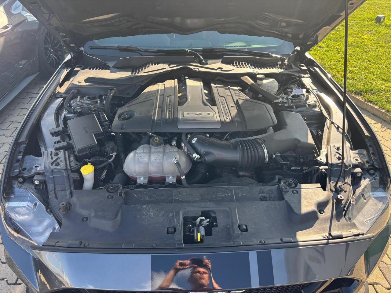 FORD MUSTANG GT FASTBACK 5.0L V8 450ch BVM